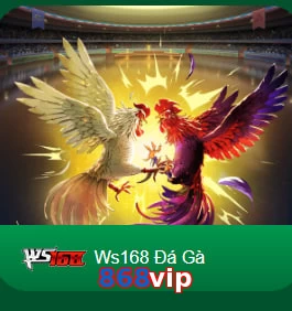868vip